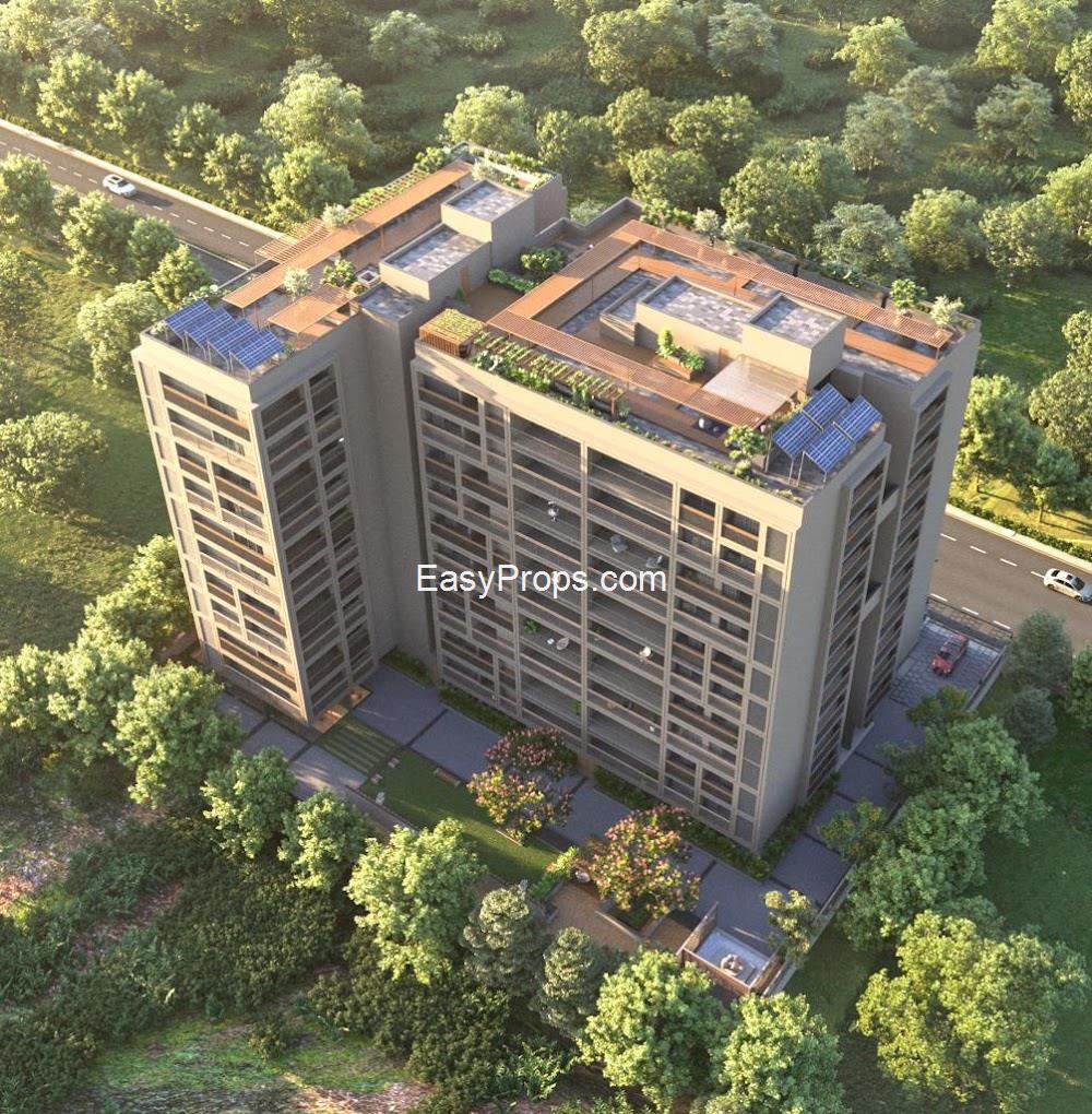 2024-08-05 (5)_20250328095148708.jpg